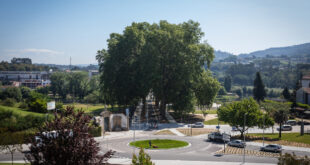 Ponte de Santo Tirso reabriu ao trânsito