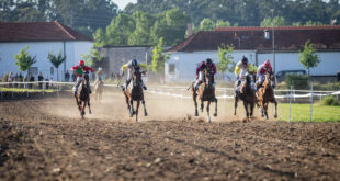 Corridas de Cavalos atraíram centenas de pessoas a Santo Tirso