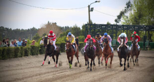Santo Tirso acolhe corridas de cavalos no próximo domingo