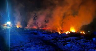 Incêndio em Guimarei mobilizou os bombeiros